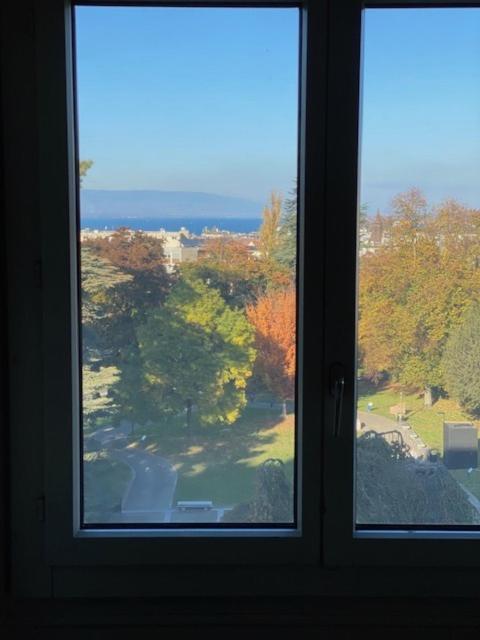 Geneve, Plein Centre,Belle Vue Lac, Splendide Et Grand Appartement Exterior foto
